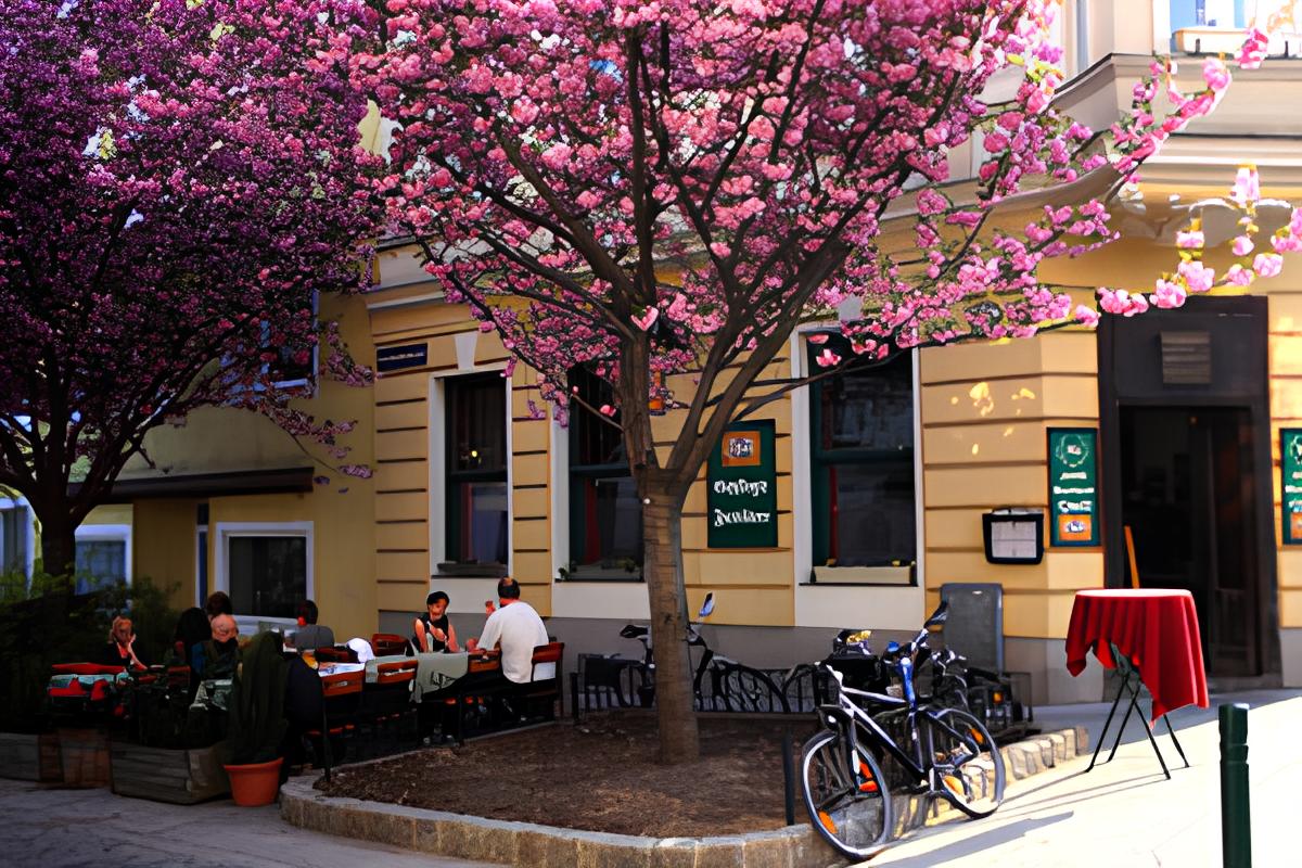 Bild vom Gastgarten des Gasthaus Quell in der Reindorfgasse 19, 1150 Wien.