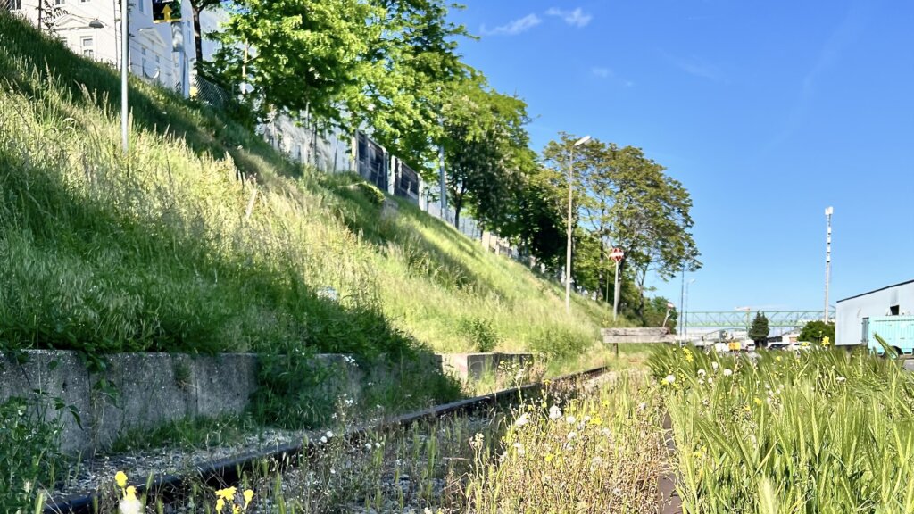 Bild von der Böschung entlang der Felberstraße Blick richtung Osten. Im Vordergrund stillgelegte und teilweise überwachsene Eisenbahnschienen.