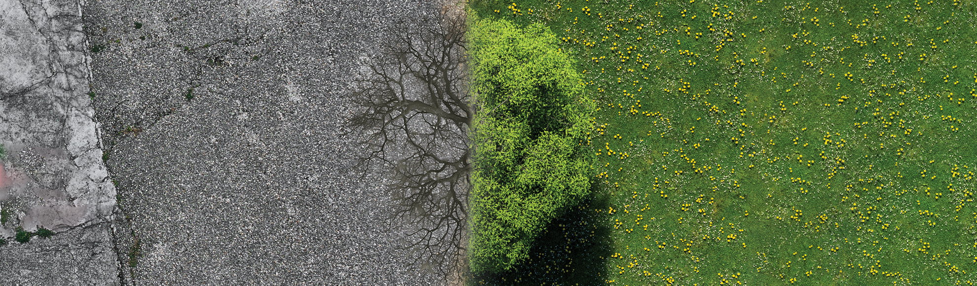 Greenpeace Ausstellung: Bodenlos